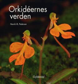 Henrik Ærenlund Pedersen - Orkidéernes verden