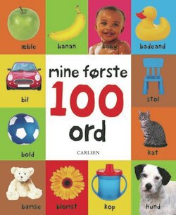 Mine første 100 ord - papbog
