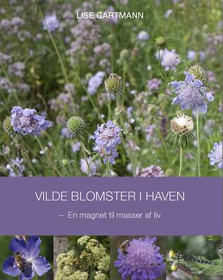 Lise Gartmann - Vilde blomster i haven - En magnet til masser af liv