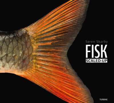 Søren Skarby - FISK – scaled-up