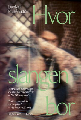 Daniyal Mueenuddin - Hvor slangen bor