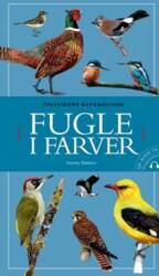 Tommy Dybbro - Fugle i farver